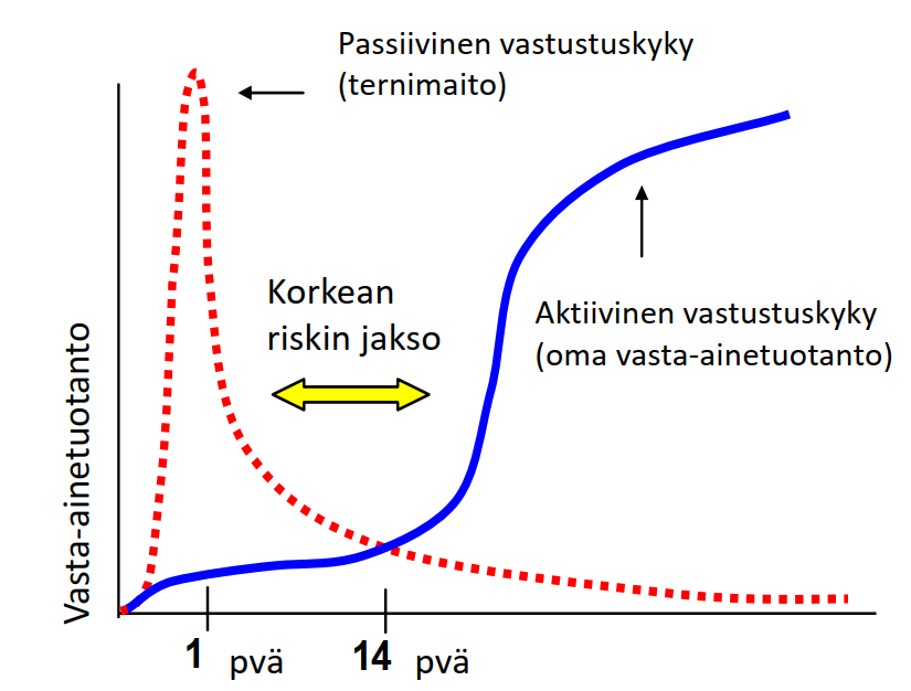 käyrä