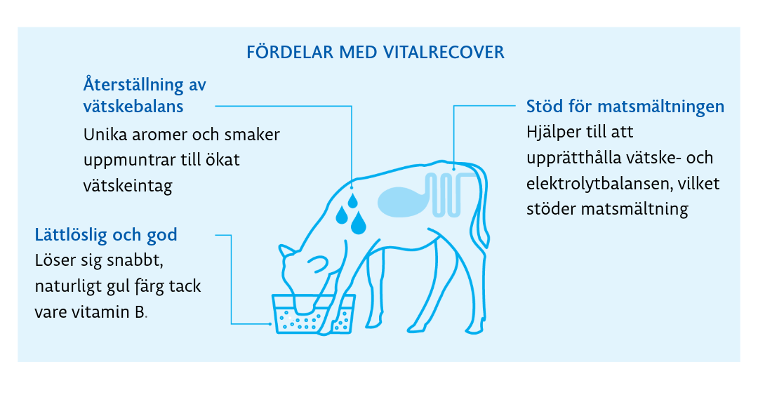 vitalrecover