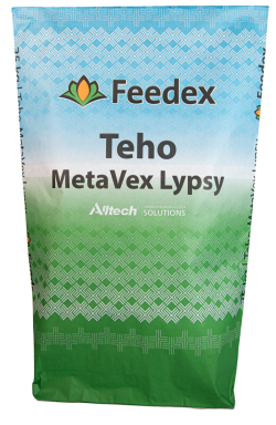 MetaVex